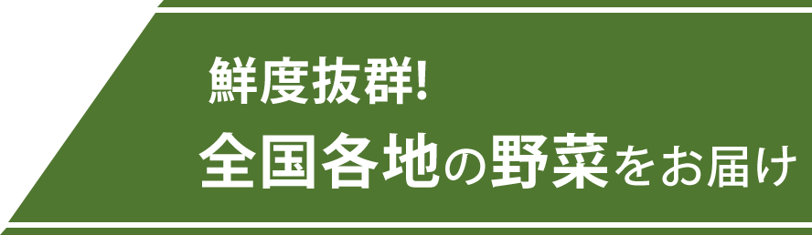 全国各地の野菜をお届け